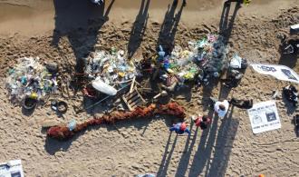Beach cleanup